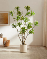 Reflexa Elegance