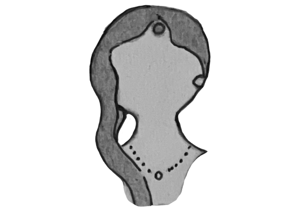 Strī