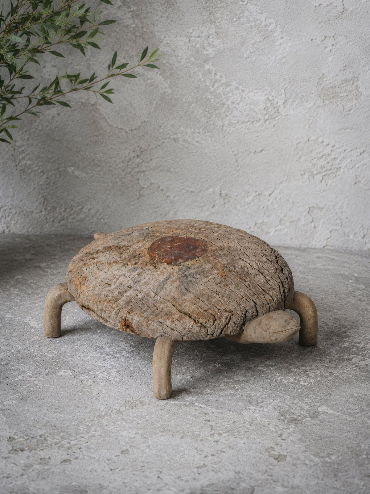 Carved Wood Tortoise Bajot by Studio Vastu